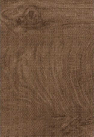 Arbeitsplatte 891 Grain Cognac