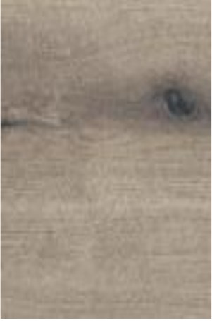 Arbeitsplatte 953 Alpine Oak