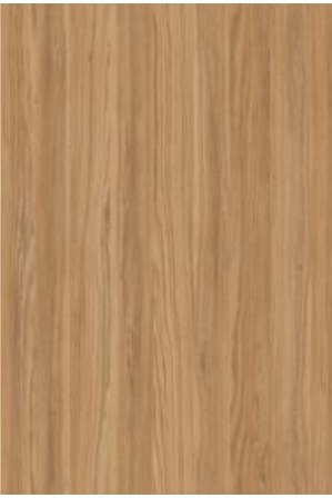 Arbeitsplatte 981 Honey oak